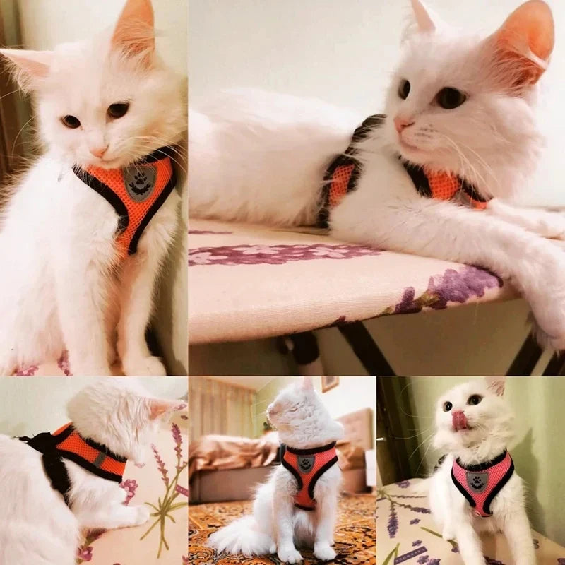 Arnés de Malla Ajustable con Correa para Gatos y Perros Pequeños y Medianos