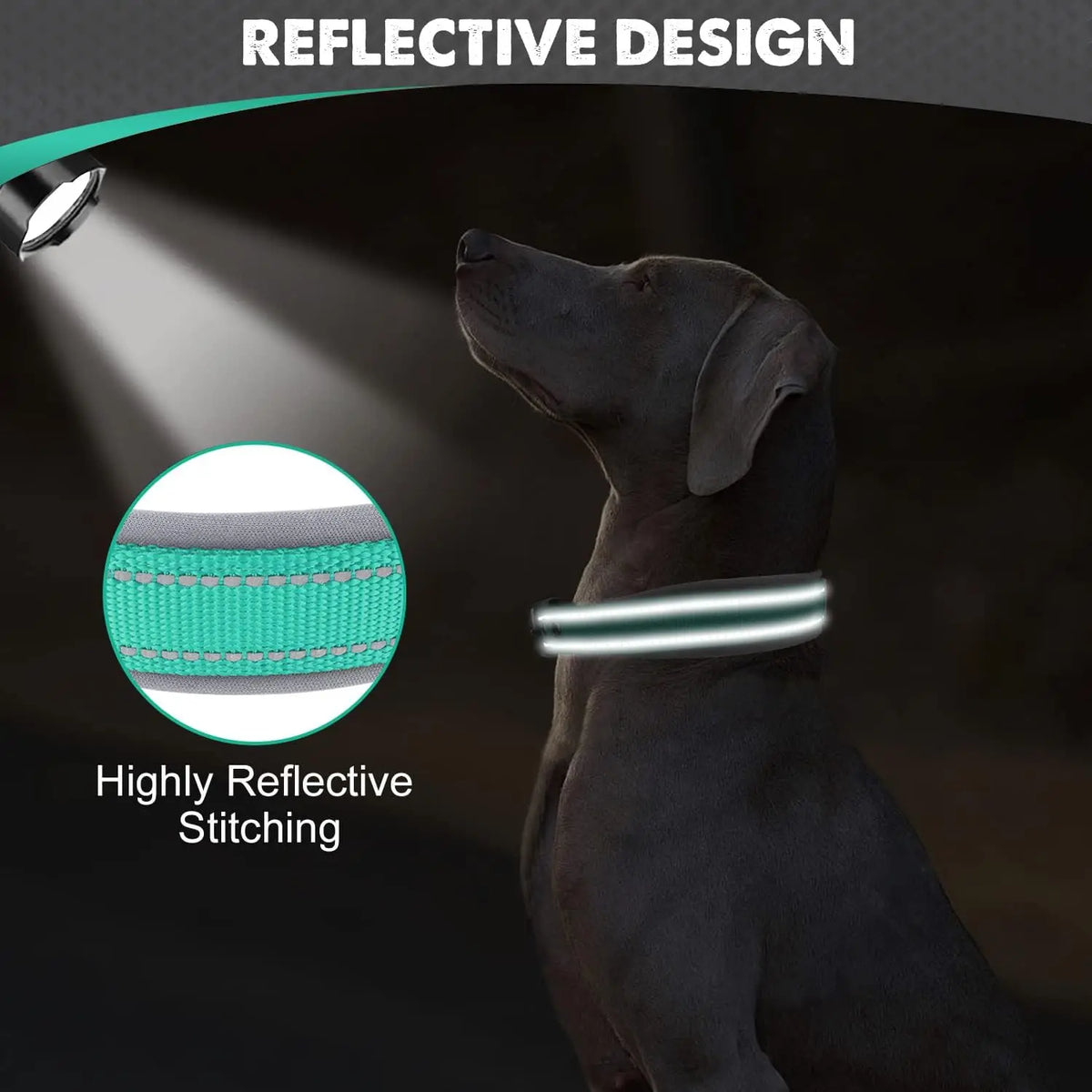 Collar Acolchado Reflectante para Perros Pequeños, Medianos y Grandes - Nylon Resistente Ajustable