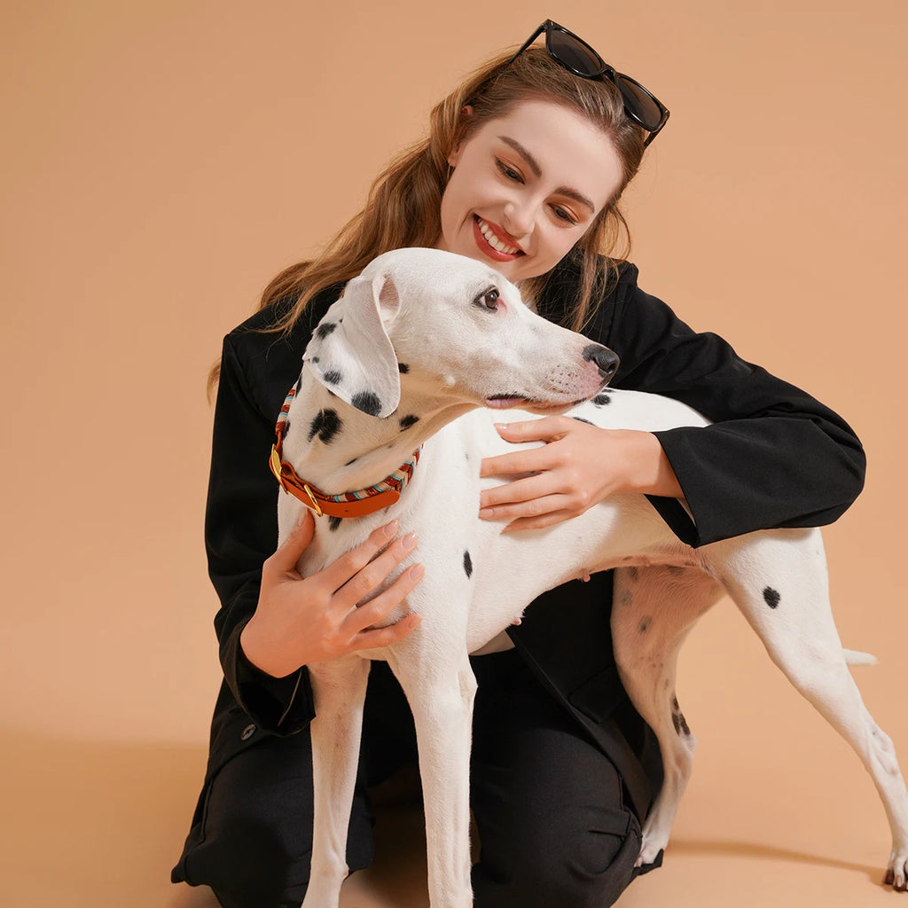 Collar de Moda Artesanal para Perros - Diseño Colorido para Razas Pequeñas, Medianas y Grandes