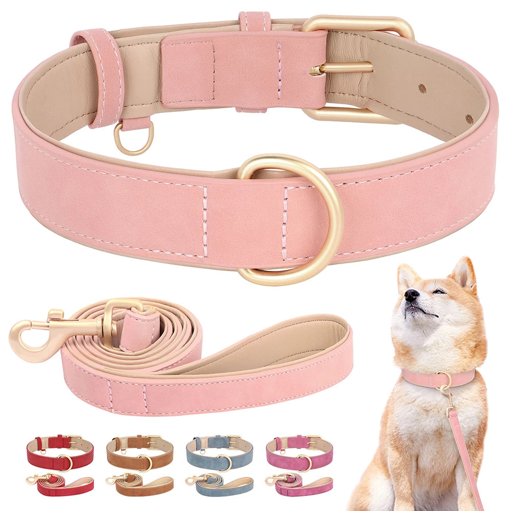 Set Collar y Correa Acolchada de Cuero PU para Perros Pequeños y Medianos - Paseo Cómodo