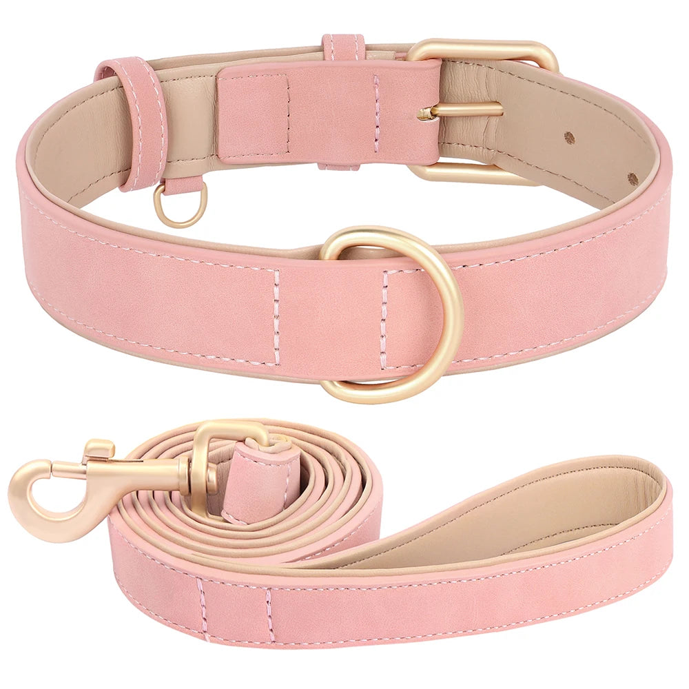 Set Collar y Correa Acolchada de Cuero PU para Perros Pequeños y Medianos - Paseo Cómodo