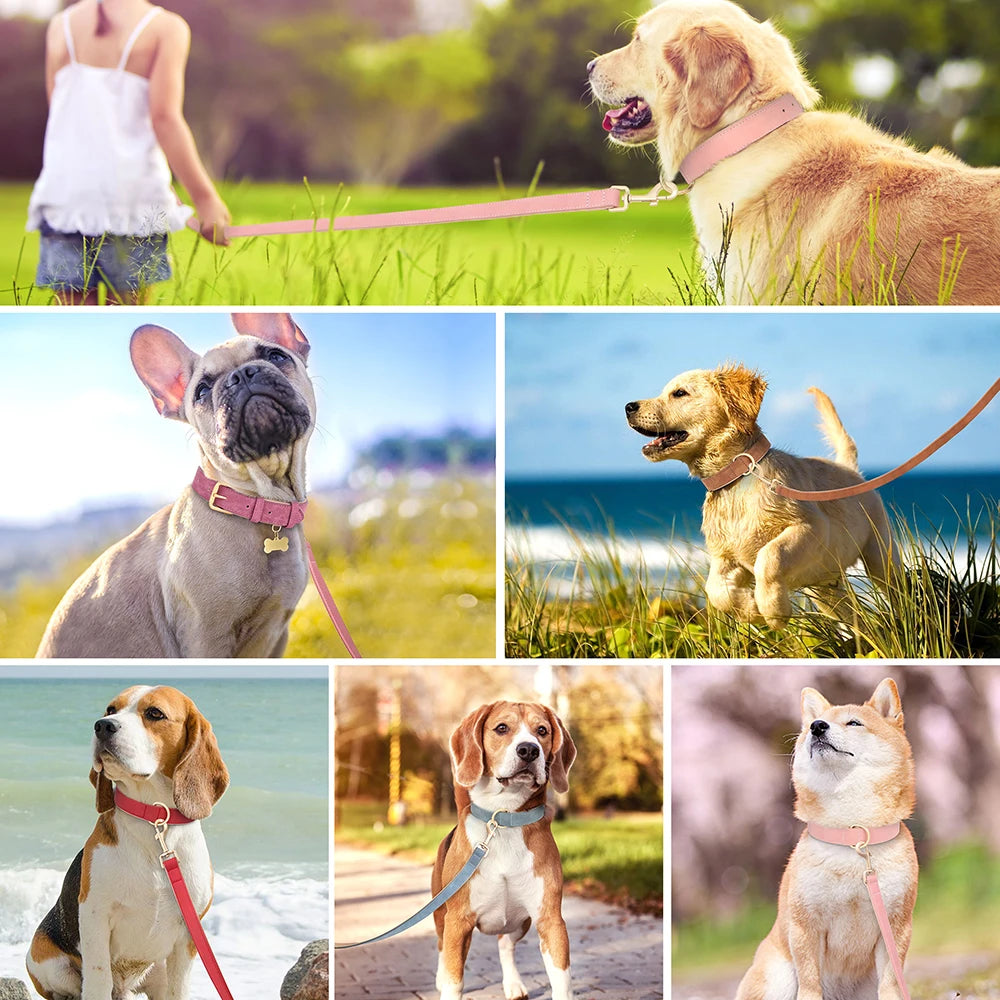 Set Collar y Correa Acolchada de Cuero PU para Perros Pequeños y Medianos - Paseo Cómodo