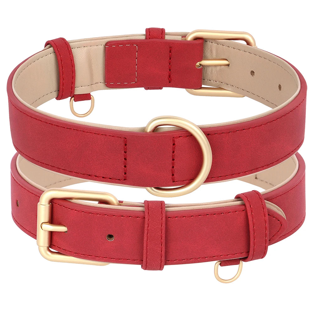 Set Collar y Correa Acolchada de Cuero PU para Perros Pequeños y Medianos - Paseo Cómodo
