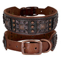 Collar de Cuero con Pinchos para Perros Medianos y Grandes - Estilo Pitbull y Bulldog