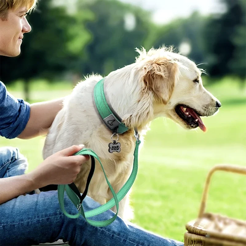 Collar Acolchado Reflectante para Perros Pequeños, Medianos y Grandes - Nylon Resistente Ajustable