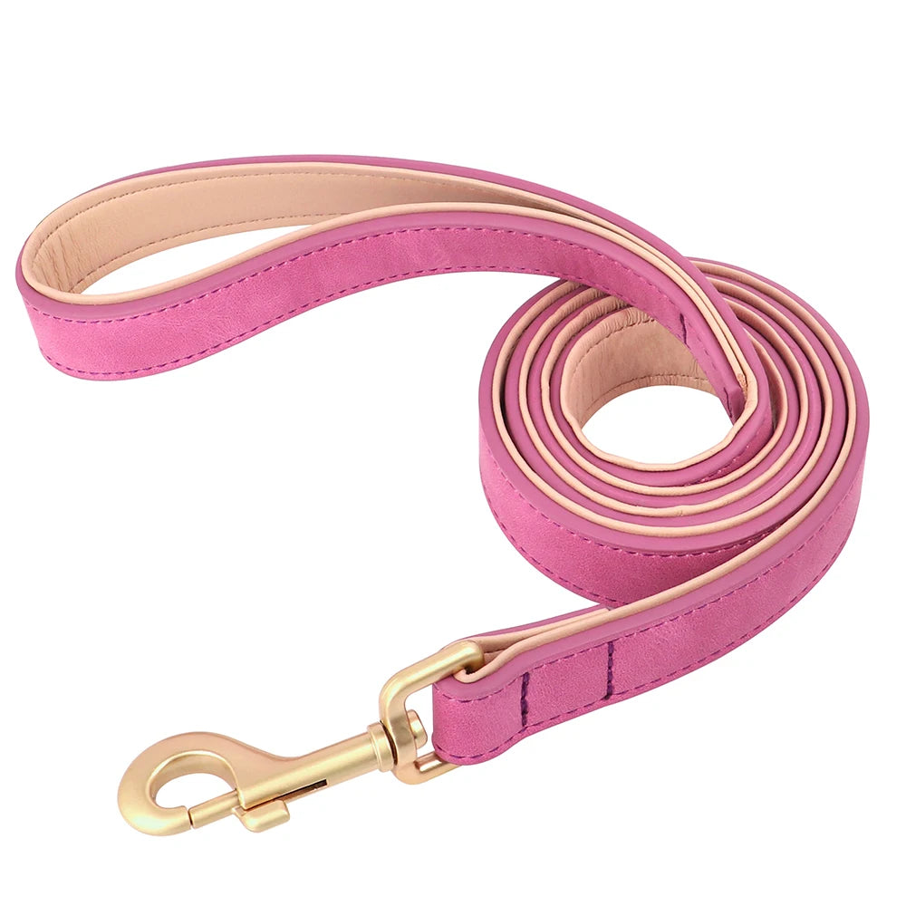 Set Collar y Correa Acolchada de Cuero PU para Perros Pequeños y Medianos - Paseo Cómodo