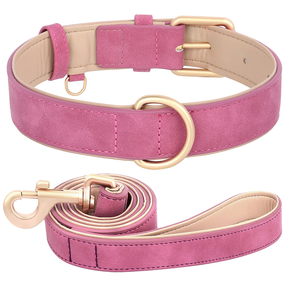 Set Collar y Correa Acolchada de Cuero PU para Perros Pequeños y Medianos - Paseo Cómodo