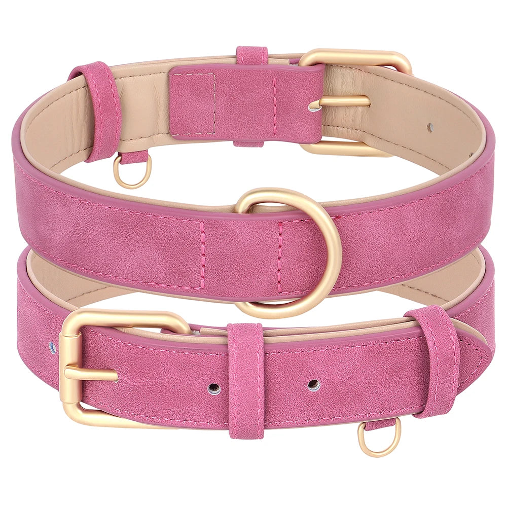 Set Collar y Correa Acolchada de Cuero PU para Perros Pequeños y Medianos - Paseo Cómodo