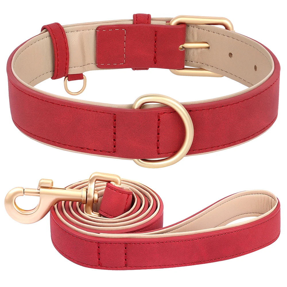 Set Collar y Correa Acolchada de Cuero PU para Perros Pequeños y Medianos - Paseo Cómodo