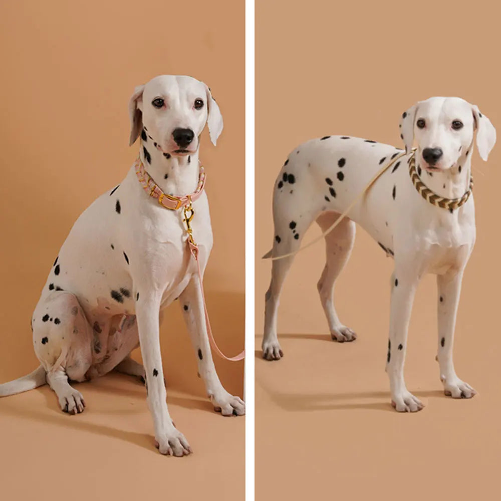 Collar de Moda Artesanal para Perros - Diseño Colorido para Razas Pequeñas, Medianas y Grandes