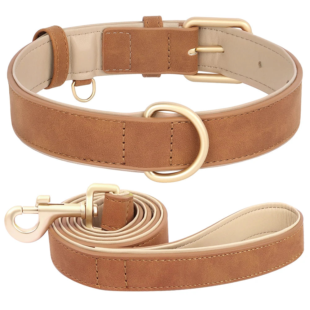 Set Collar y Correa Acolchada de Cuero PU para Perros Pequeños y Medianos - Paseo Cómodo